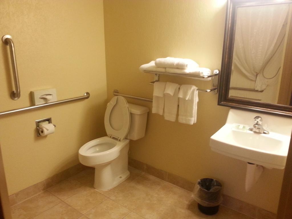 Quality Inn & Suites Saginaw Bilik gambar