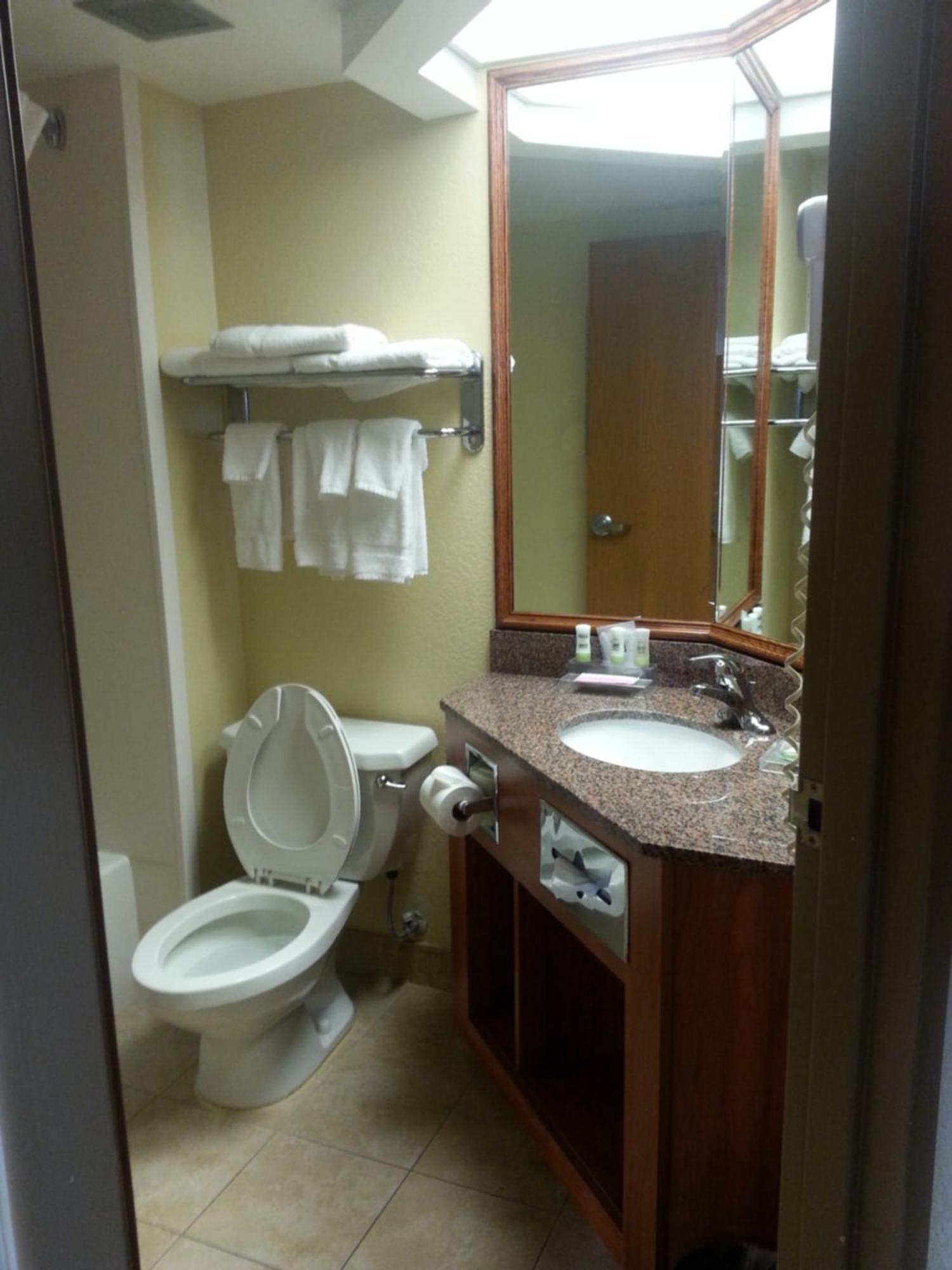 Quality Inn & Suites Saginaw Luaran gambar