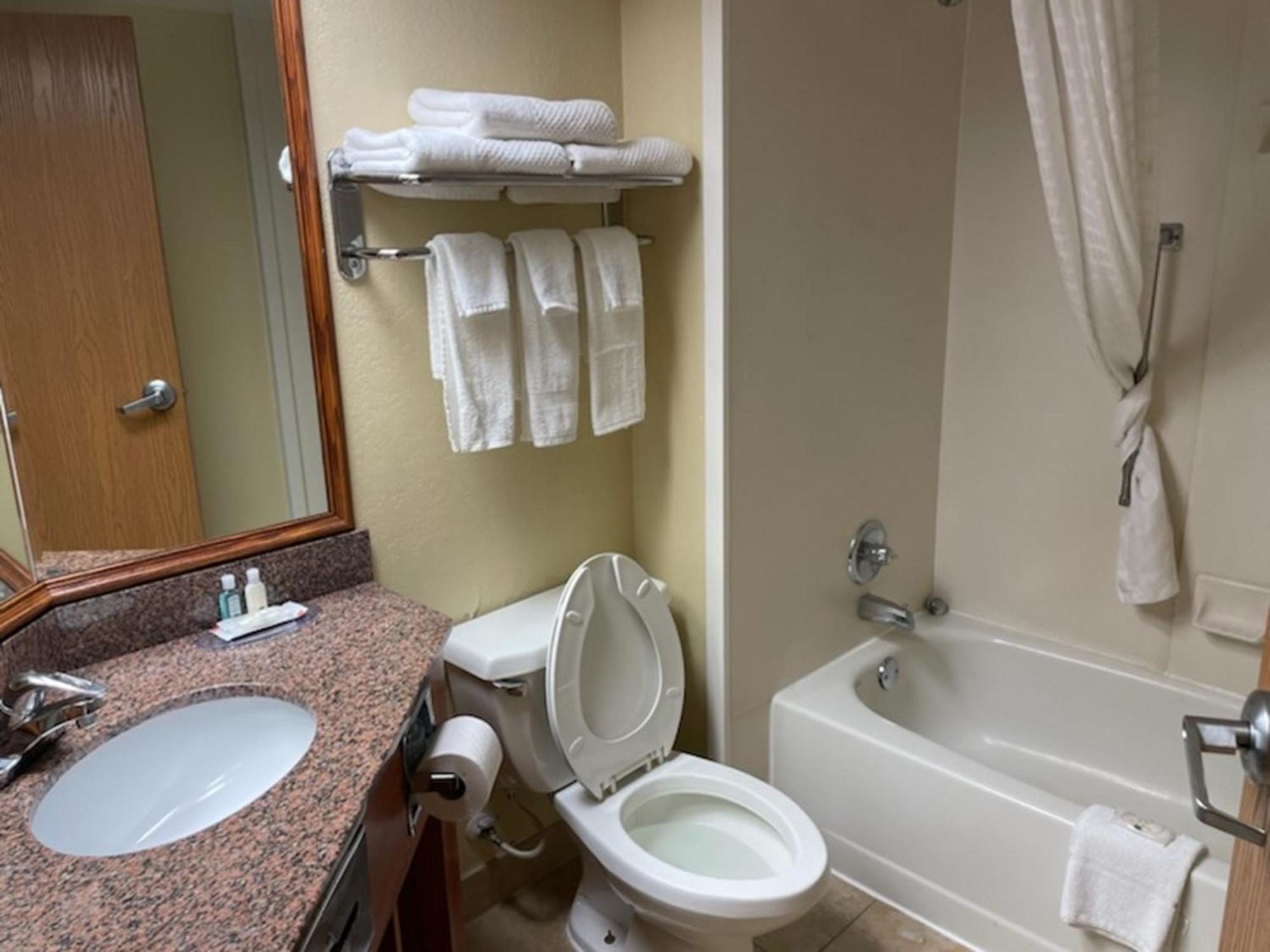 Quality Inn & Suites Saginaw Luaran gambar