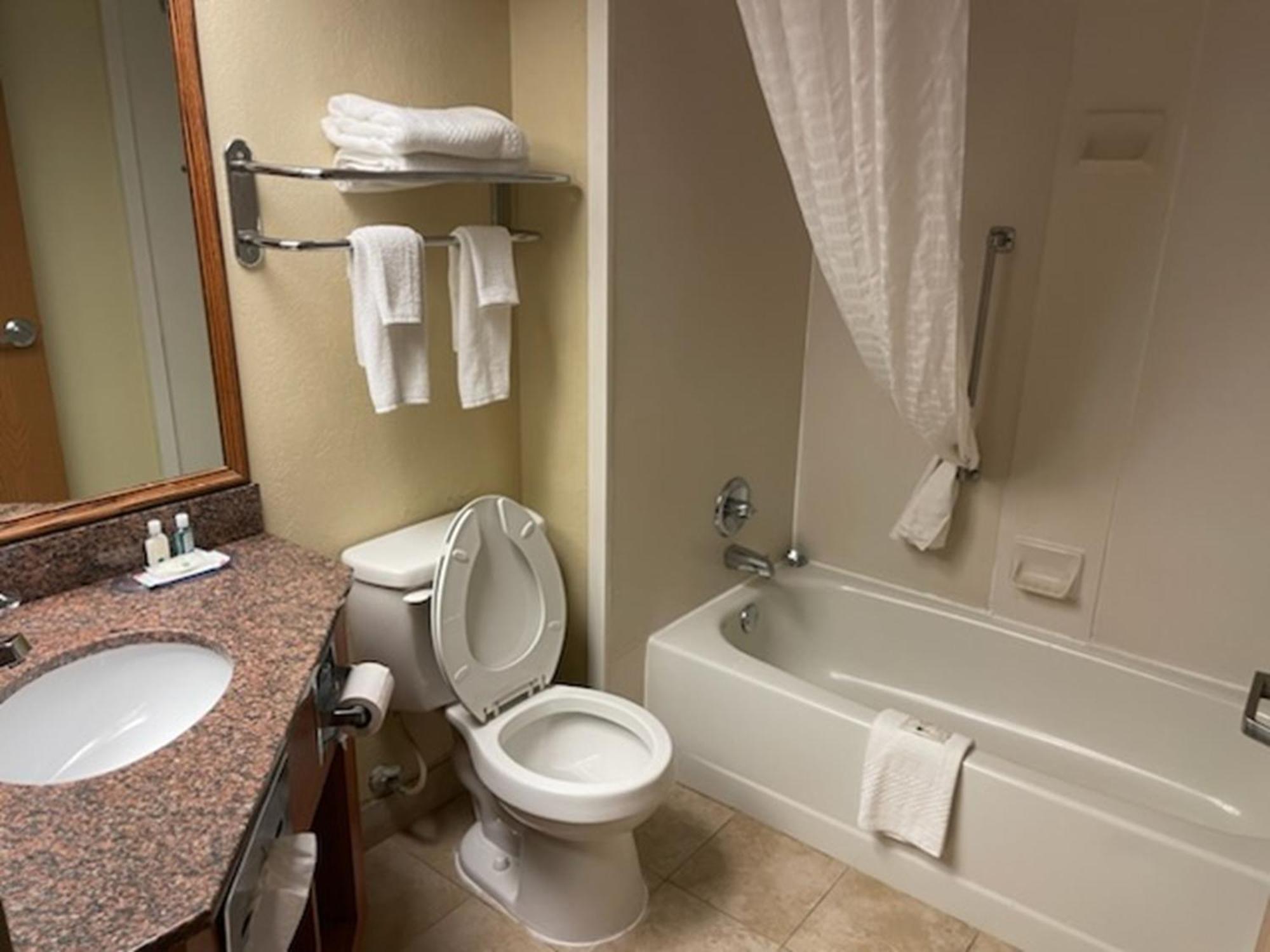 Quality Inn & Suites Saginaw Luaran gambar
